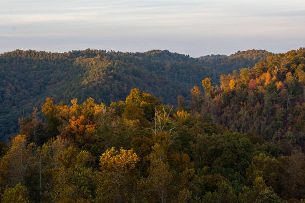 istock Autumn Foliage and Mountains 1453650734