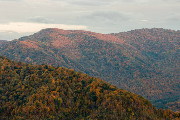 istock Autumn Foliage and Mountains 1453650826