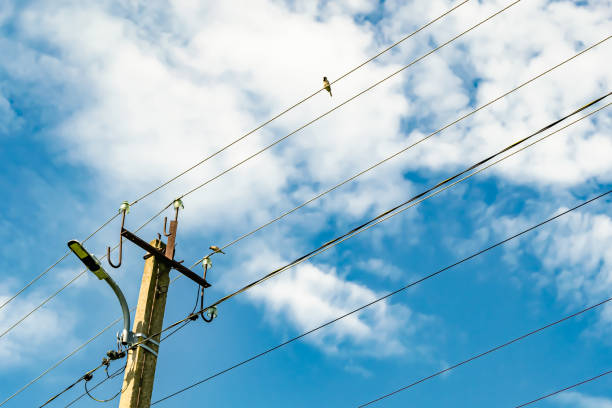 istock Power electric pole with line wire on colored background close up 1453651848