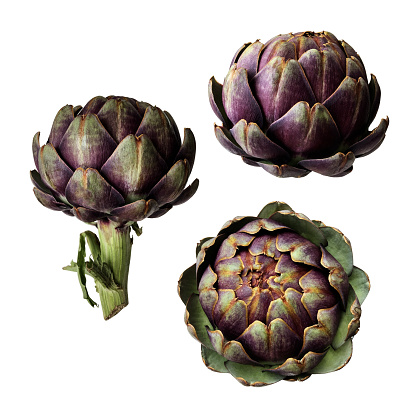 Artichokes set fresh violet vegetable plants cutout close-up, raw food organic diet concept, clipping path