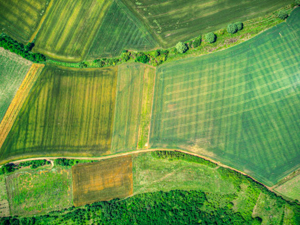 istock Exploring Agricultural Landscapes through Drone Photography. 1453659302