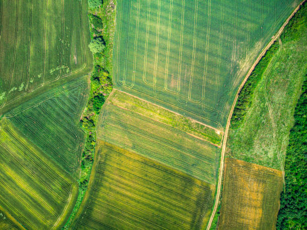 드론의 시선: 농업 패턴에 대한 새로운 관점. - field vertical agriculture crop 뉴스 사진 이미지