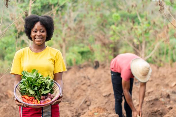 istock african farmer carrying a basket of vegetables 1453659601
