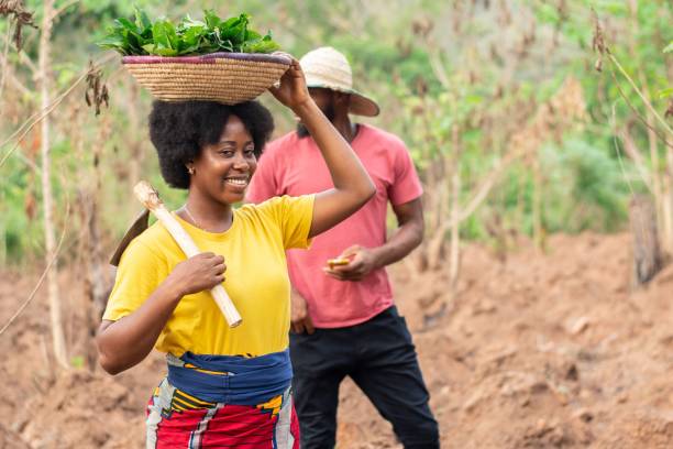 istock farmer carrying vegetables and a hoe 1453659606