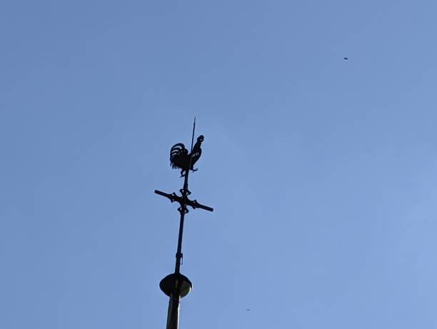 istock Weather vane, wind vane, weathercock 1453659629