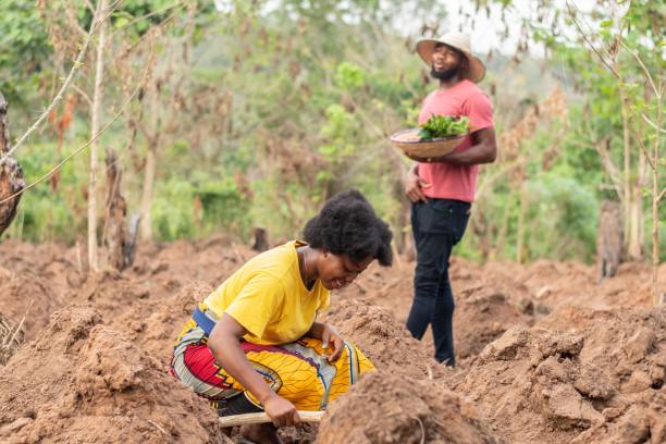 istock farmers working on a farm 1453659644