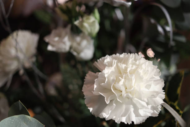 istock White Flowers in Anglican Cathedral 1453663070