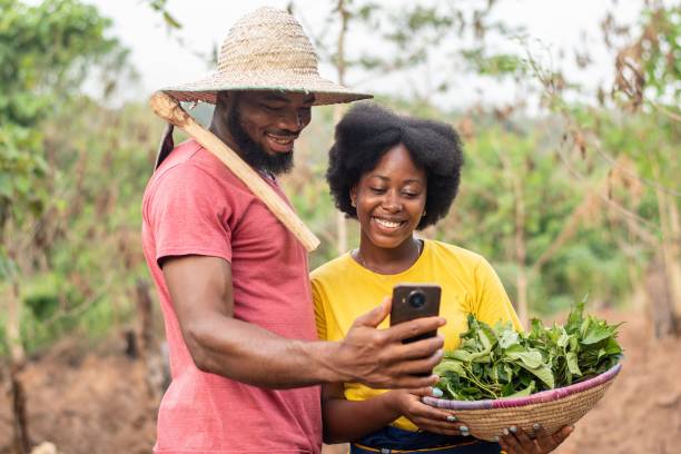 african farmers checking a phone together