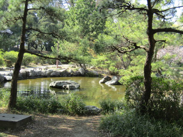 istock Japan. April. Small pond in the city park. Impression. 1453666513