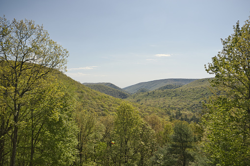 A beautiful landscape nature of green Mountains and trees against a blue sky