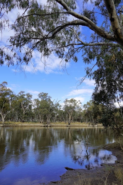 istock Hay, NSW, Australia 1453670730