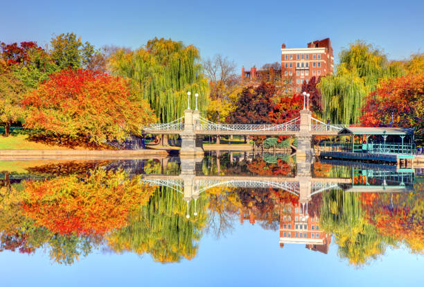 istock Autumn in the Boston Public Garden 1453671710