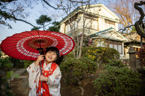 Little girl in kimono for Shichigosan holding paper umbrella and standing in garden of the house
