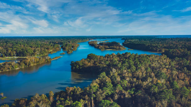 istock Panoramic view of Houston lake with forest mix 1453681267