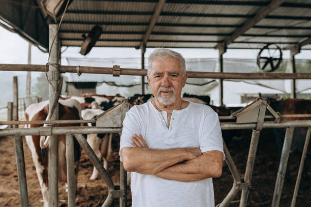 istock Dairy farmer in the corral 1453683045