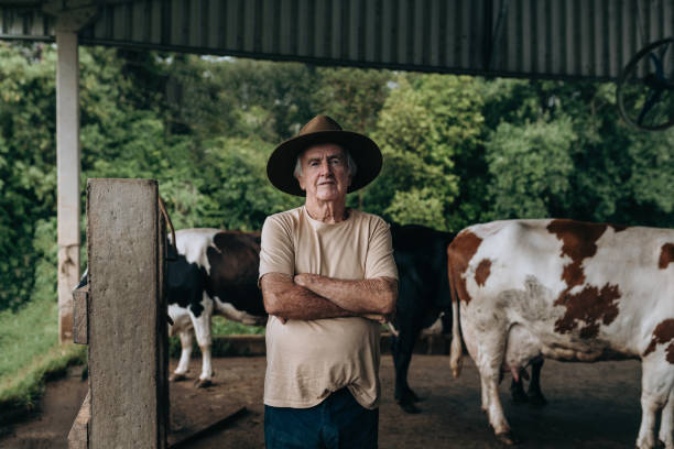 istock Dairy cow farmer in the corral 1453683125