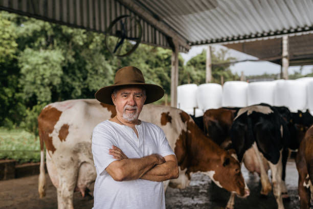istock Portrait of a senior cattleman 1453683141