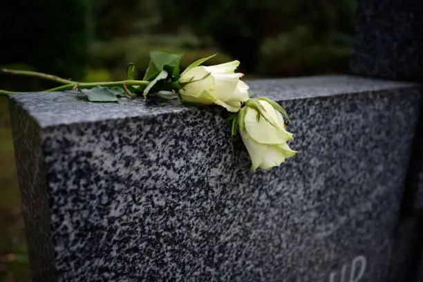 Photo of roses on a marble tombstone