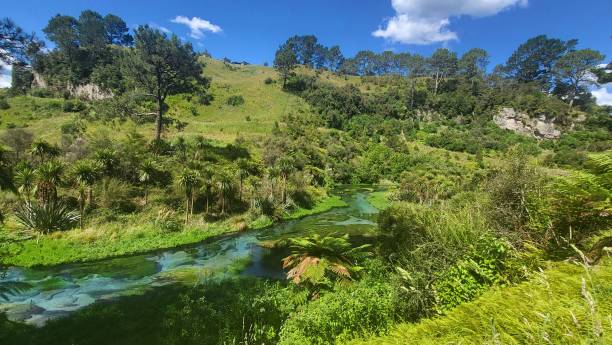 istock Blue Springs filled with underwater plants 1453687811