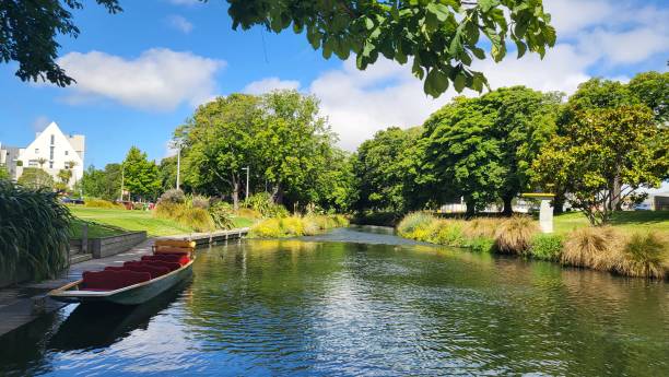 avon river punting - christchurch imagens e fotografias de stock