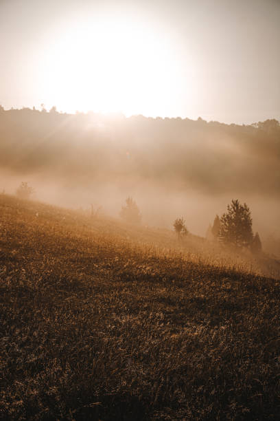 istock Vertical shot of floating clouds and a bright sun over rural cliffs 1453695780