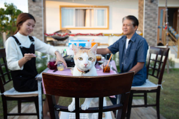father and daughter eating shabu together