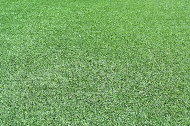 istock green artificial grass textured background, outdoor sport design 1453699523