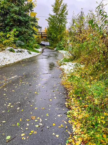 Ship Creek, located in Anchorage, Alaska offers a peaceful walkway for all. The Fall leaves and wet surfaces made for a stunning view along the way. An early snow addsto the beauty.