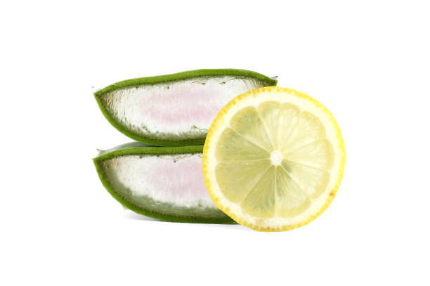 istock Sliced Aloe Vera leaf and lemon isolated on white 1453700530