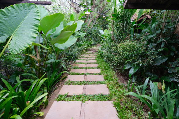 istock tile pavement with the green surrounding in village 1453702700