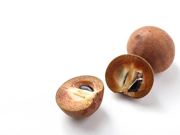 istock sapodilla fruit or sawo fruit 1453703447