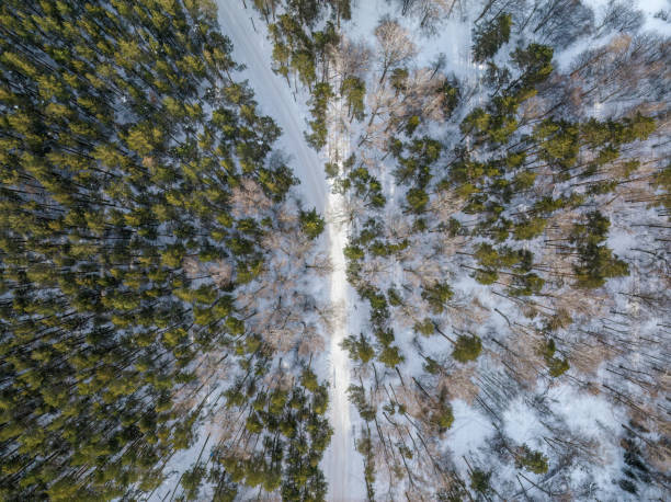 istock Flight over the winter mountains with road serpentine and pine forest. Top down view. Landscape photography 1453703542
