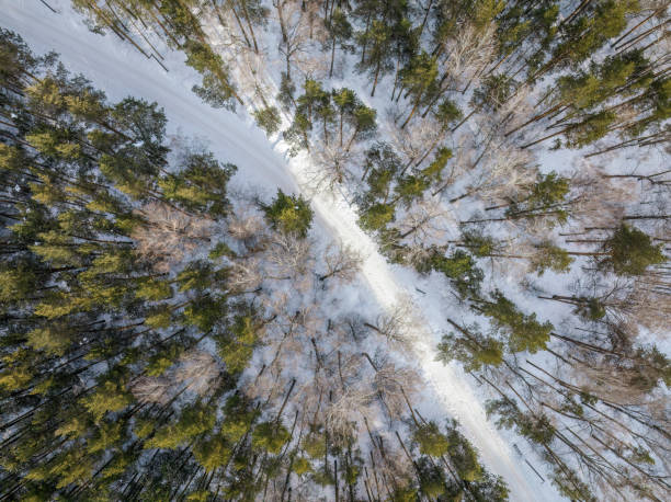 istock Flight over the winter mountains with road serpentine and pine forest. Top down view. Landscape photography 1453703543