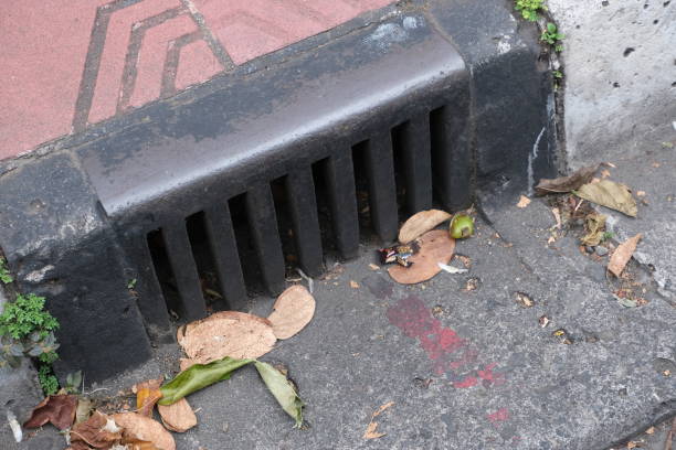 istock Small sewer grate on gray asphalt close up 1453705259