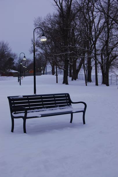 istock Vertical close-up of snowy park 1453706347