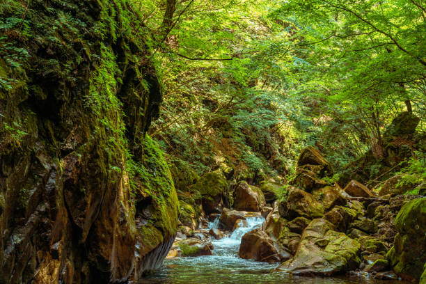 日本の美しい峡谷である西川渓谷。 - 山峡 ストックフォトと画像