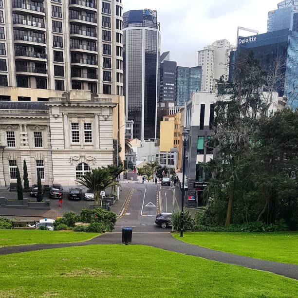 istock Auckland garden 1453722601
