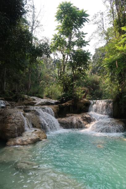istock Kuangsi falls in Luang Prabang 1453728678