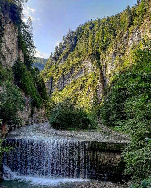 istock Vertical shot of a waterfall flowing in a forest 1453733074