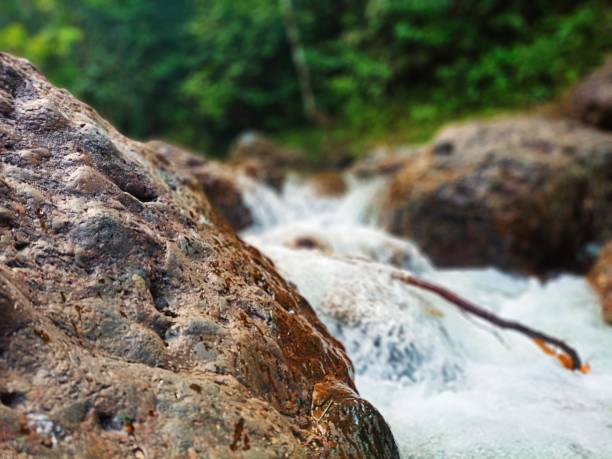 istock along the river and life around it 1453733142