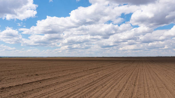 istock Beautiful cloudscape in the blue sky above the field. 1453734023