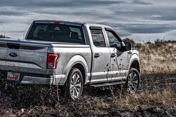 rear view of a ford f150 parked in a field on a cloudy day - ford imagens e fotografias de stock