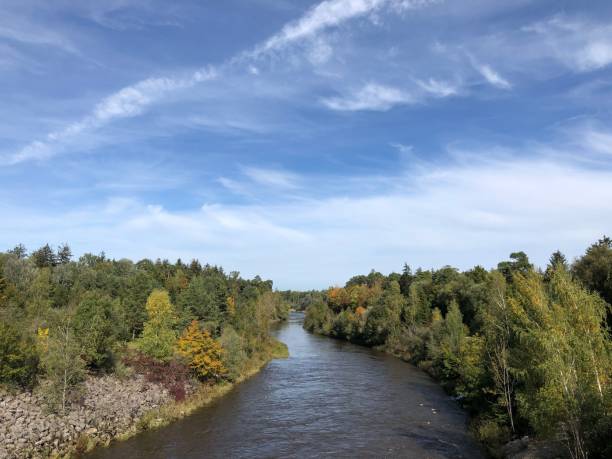 istock River flowing through green trees under a blue sky during the daytime 1453739295