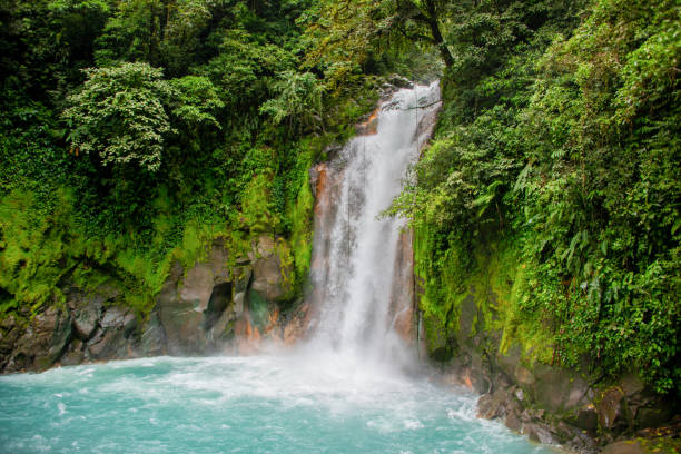Mesmerizing view of a waterfall with trees and river in Manuel Antonio National Park A mesmerizing view of a waterfall with trees and river in Manuel Antonio National Park, Quepos, Costa Rica manuel antonio national park stock pictures, royalty-free photos & images