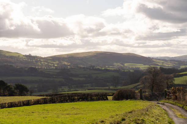 istock Scenic view of a grassy fields on a background of hills under a cloudy sky 1453740748