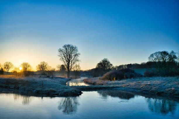 istock Leafless trees on the river bank with visible reflections on the water against dawn sky at sunrise 1453741589