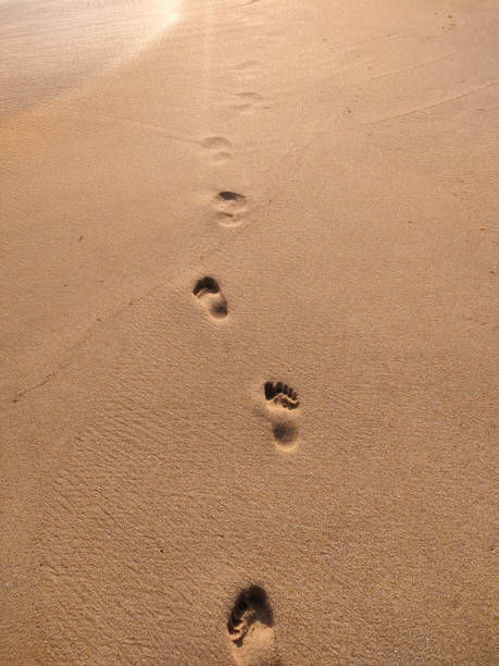 istock footprints in the sand of the beach 1453743359