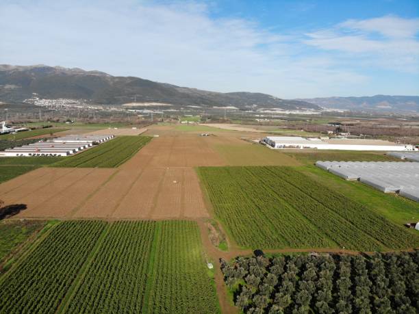 istock greenhouse farmland 1453744145