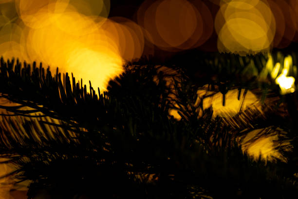 Christmas tree branches close up decorated with garland lights. Cracow. Poland. No people.