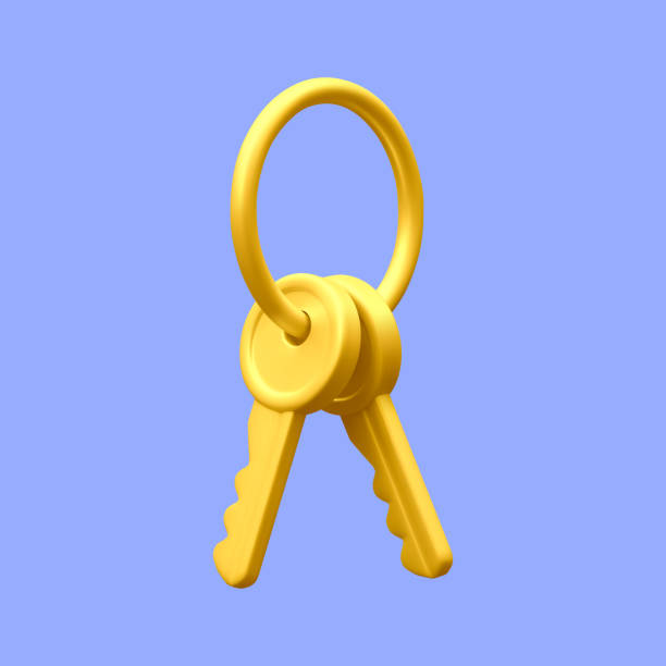 3d реалистичный золотой пучок клавиш, изолированный на светлом фоне. векторная иллюстрация - lock padlock security equipment metallic stock illustrations